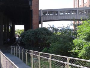 Visiting the High Line NYC