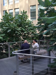 Visiting the High Line NYC quiet spot