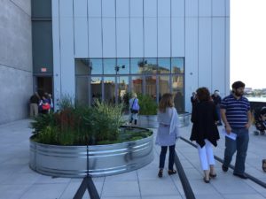 Whitney Museum Outdoor Garden