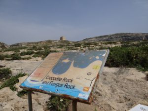 Crocodile and Fungus Rock Gozo Sign 
