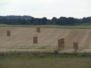 Visit Stonehenge fields of hay