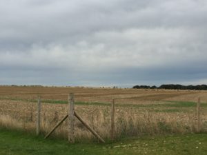 Fields around Stonehenge