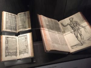 V&A Museum Books