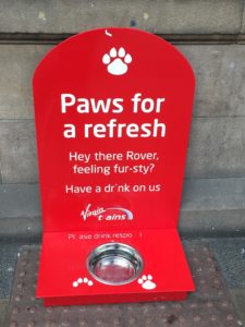 Dogs on Virgin Trains Edinburgh