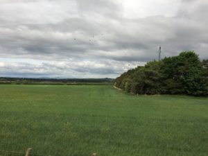 Landscape view from Virgin East Coast train Edinburgh to London