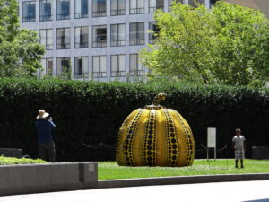 Kusama Pumpkin at the Hirshhorn in D.C.