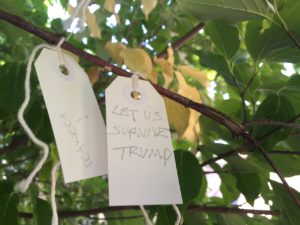 Wish to "survive trump" on the Wish Tree for Washington, DC