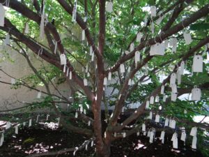 Wish Tree for Washington DC by Yoko Ono Summer 2017