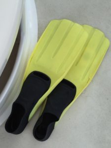 Barbados Snorkeling Catamaran Flippers