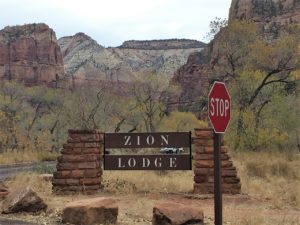Zion Lodge View
