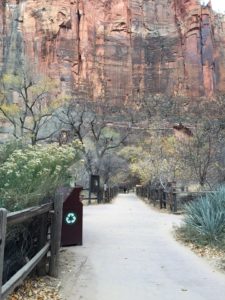 Riverside Walk Zion National Park
