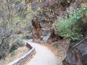 Riverside Walk Zion National Park