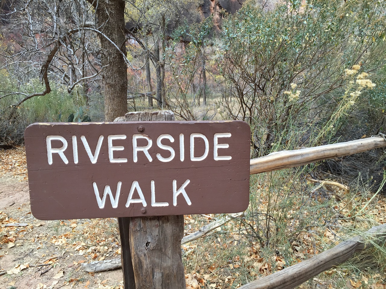 Riverside Walk Zion National Park