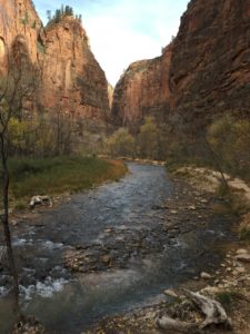 Early morning Zion National Park Riverside Walk