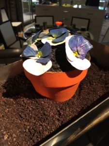 Amazing Chocolate Cake Edible Flower Pot at The Wynn Hotel