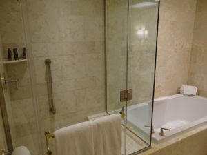 The Wynn Hotel Bathroom Review