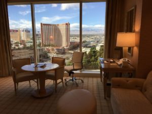 The Wynn Hotel Review room view