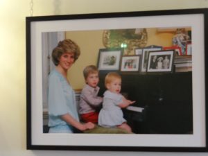 London Diana Her Fashion Story Picture with Princes