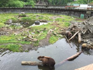Fortress of the Bear Enclosure Silo Sitka Alaska