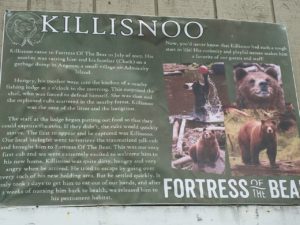 Killisnoo Brown Bear Sitka Alaska cruise tour