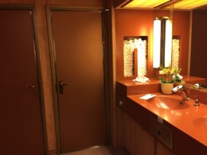 Holland America Eurodam dated orange bathroom