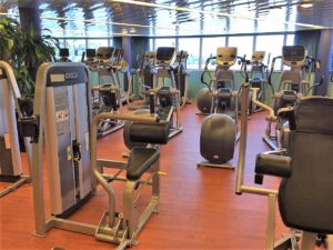 HAL Eurodam Gym