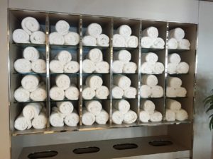 HAL Eurodam Gym Towel Art