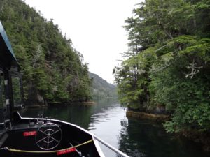 Alaska Nature Cruise Sitka Wildlife Tour