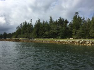 Backcountry Zodiac Expedition Ketchikan Shoreline