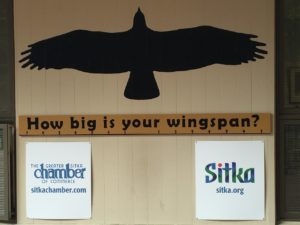Raptor Center Sitka Alaska Bird Wingspan