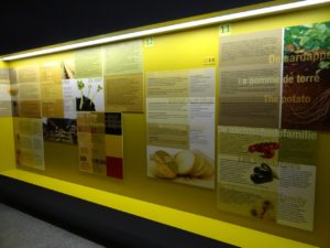 Friet Museum Bruges Review Display