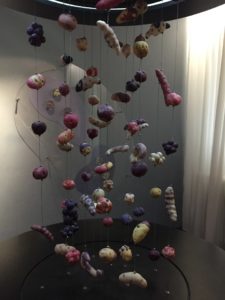 Friet Museum Bruges Potato Art Display