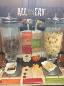 Choco Story Chocolate Musuem Bruges Free Chocolate Samples
