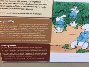 Chocolate Musuem Bruges Smurfs Sarsaparilla