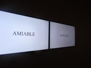 MONA video installation adjectives