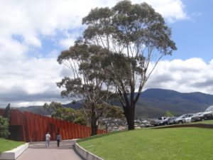 The MONA ferry tree lined path