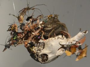 The Depraved Pursuit of a Possum by Tess Farmer at MONA
