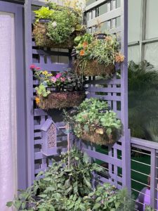Small space garden display