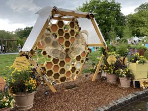 Insta friendly Bee Display