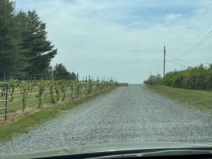 New Jersey Winery View