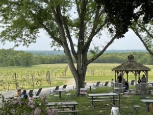 New Jersey Winery Vineyard View at Old York Cellars