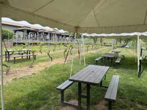 Outdoor Seating in the Vineyard