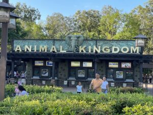 Animal Kingdom Entrance at Disney World