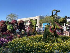 Epcot Flower and Garden Festival topiaries of Mickey Mouse, Minnie Mouse and Pluto the dog