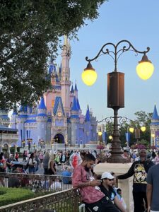 Disney World Magic Kingdom view of Cinderella's Castle at dusk with tree hanging on left and two globe streetlight on the right