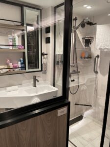 Black and white cruise ship solo bathroom sink and shower on NCL Prima