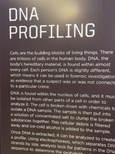 DNA Profiling at the CSI Experience at the Mob Museum Las Vegas