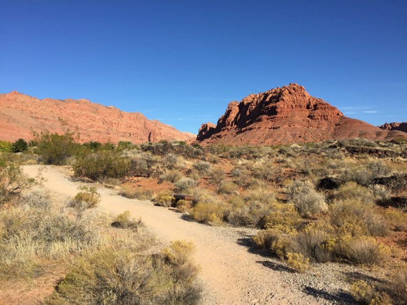 Snow Canyon Park Utah Red Mountain